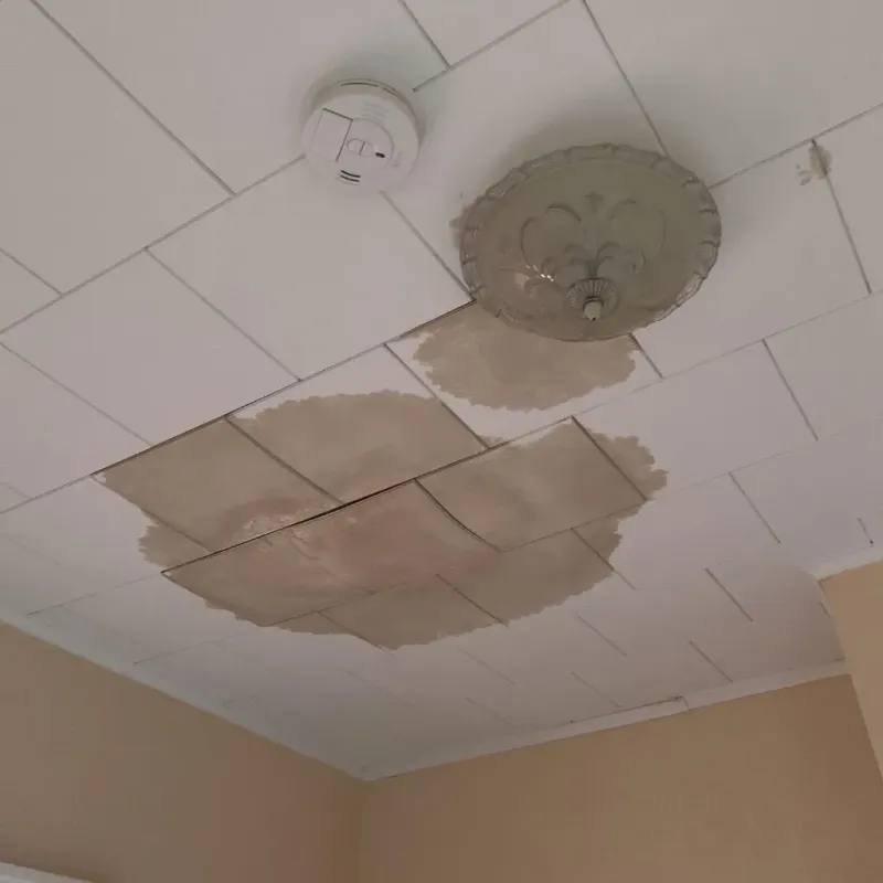 Ceiling Water Damage Repair in Tobaccoville, NC