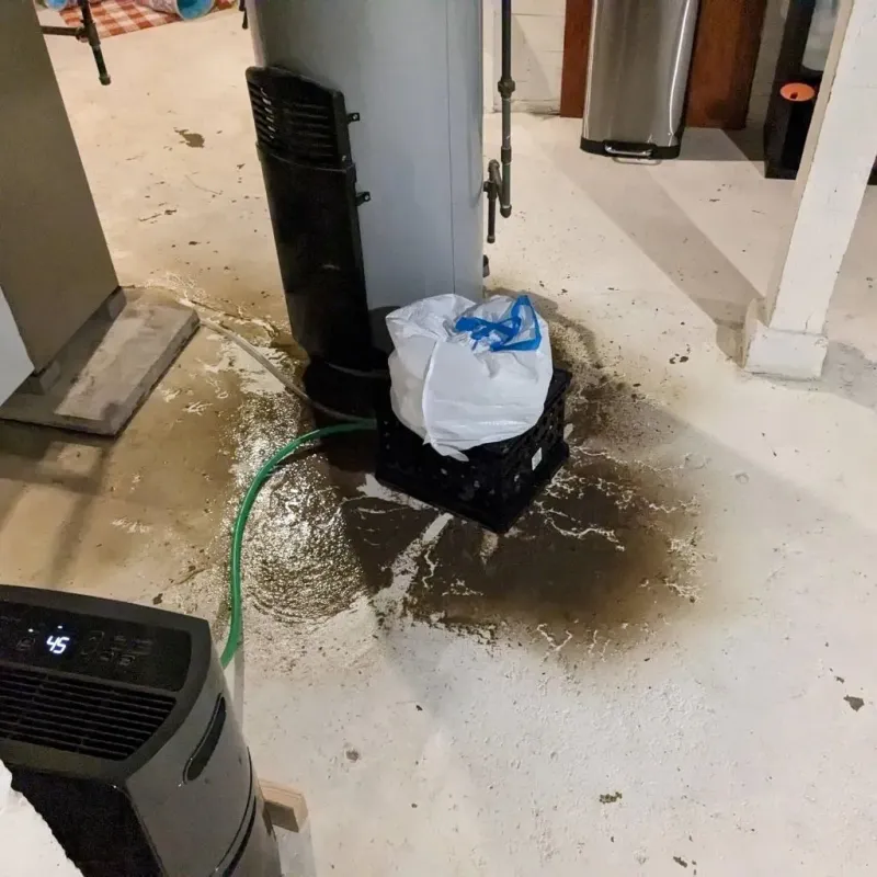 Sewage Backup Cleanup Service in Tobaccoville, NC